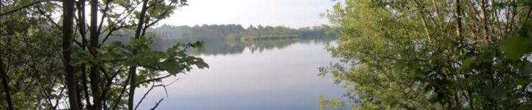 Rockford Common & Blashford&nbsp;Lakes