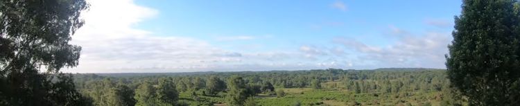 Furzley & Stagbury&nbsp;Hill