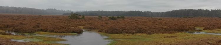 Brockenhurst, Black Knowl & Ober&nbsp;Water
