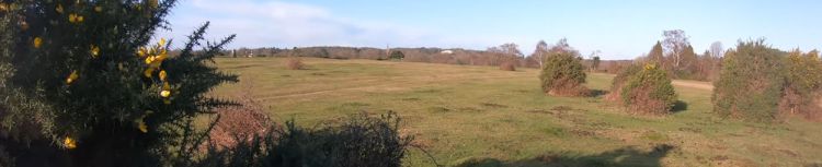Lyndhurst (Bolton’s Bench)