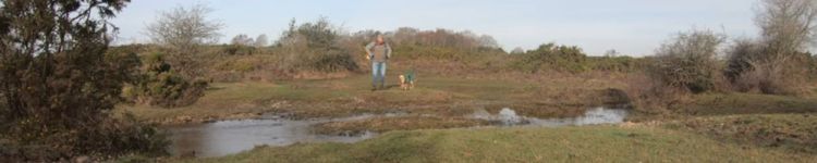 Norley Wood & East&nbsp;End