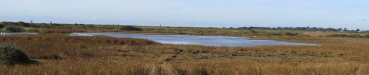 Pennington Marshes