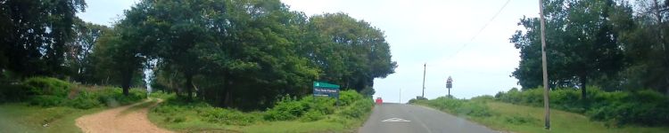 Who owns the New&nbsp;Forest?