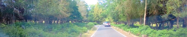 Do you know the Three Car&nbsp;Rule?