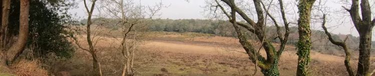 Castleman’s Corkscrew Trail