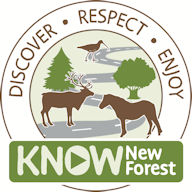 KnowNewForest